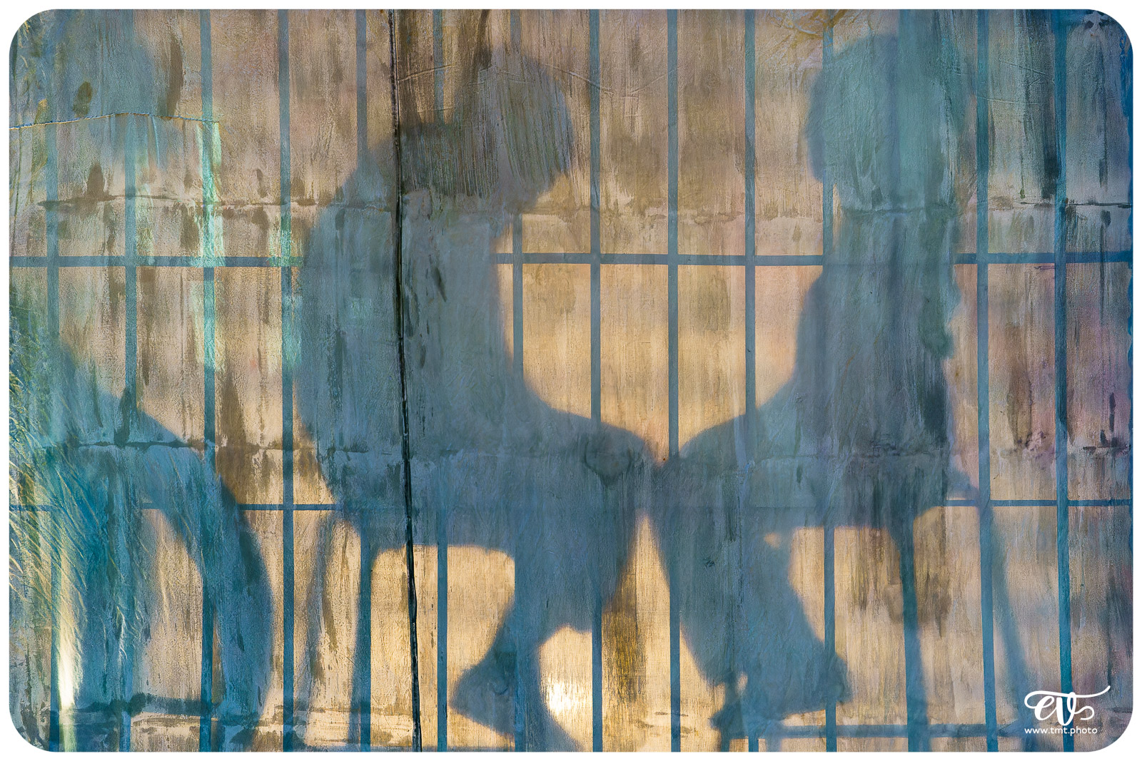 DE CHAIR ET D'ACIER (CIE 100 RACINES)